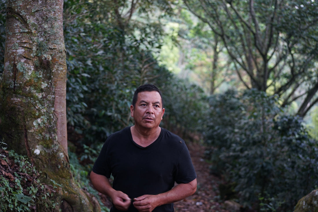 ホンジュラス訪問レポート2025〜生産国でのクオリティ追求と私たちの課題〜